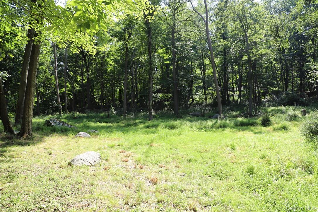 Mountain Farm Road – For Sale