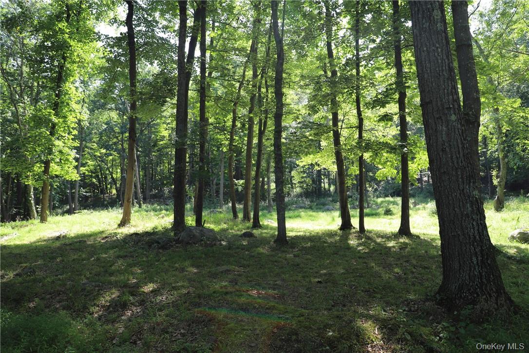 Mountain Farm Road – For Sale photo 4