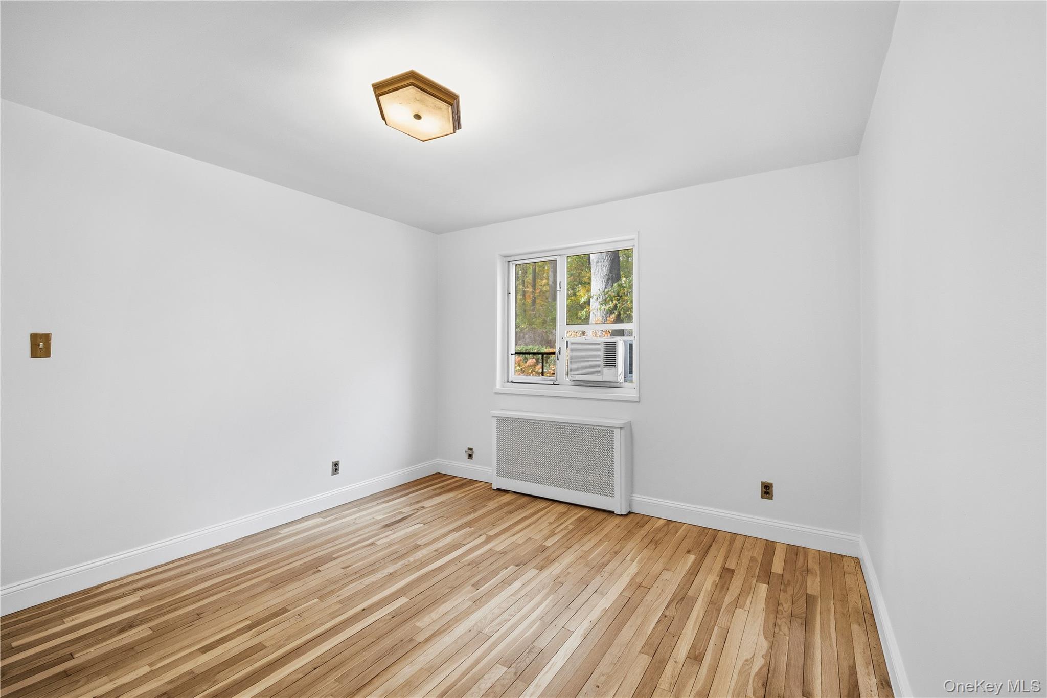 228-08 Stronghurst Avenue, Unit Lower photo 14