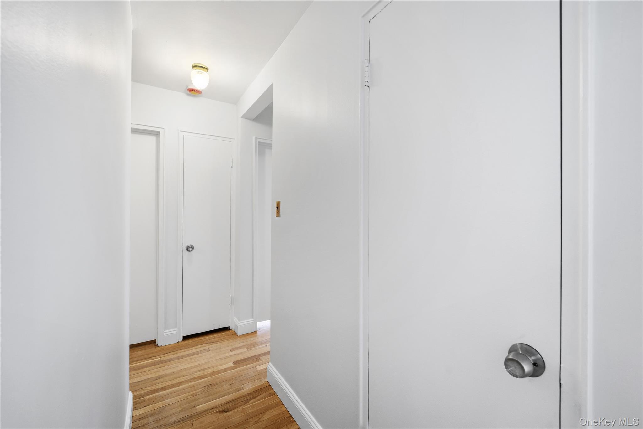 228-08 Stronghurst Avenue, Unit Lower photo 20
