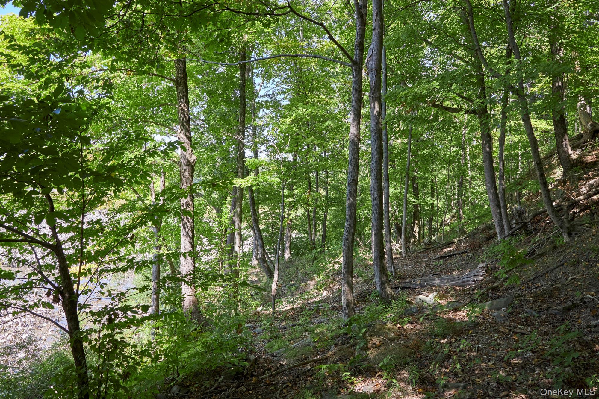 Mill Road – For Sale photo 12