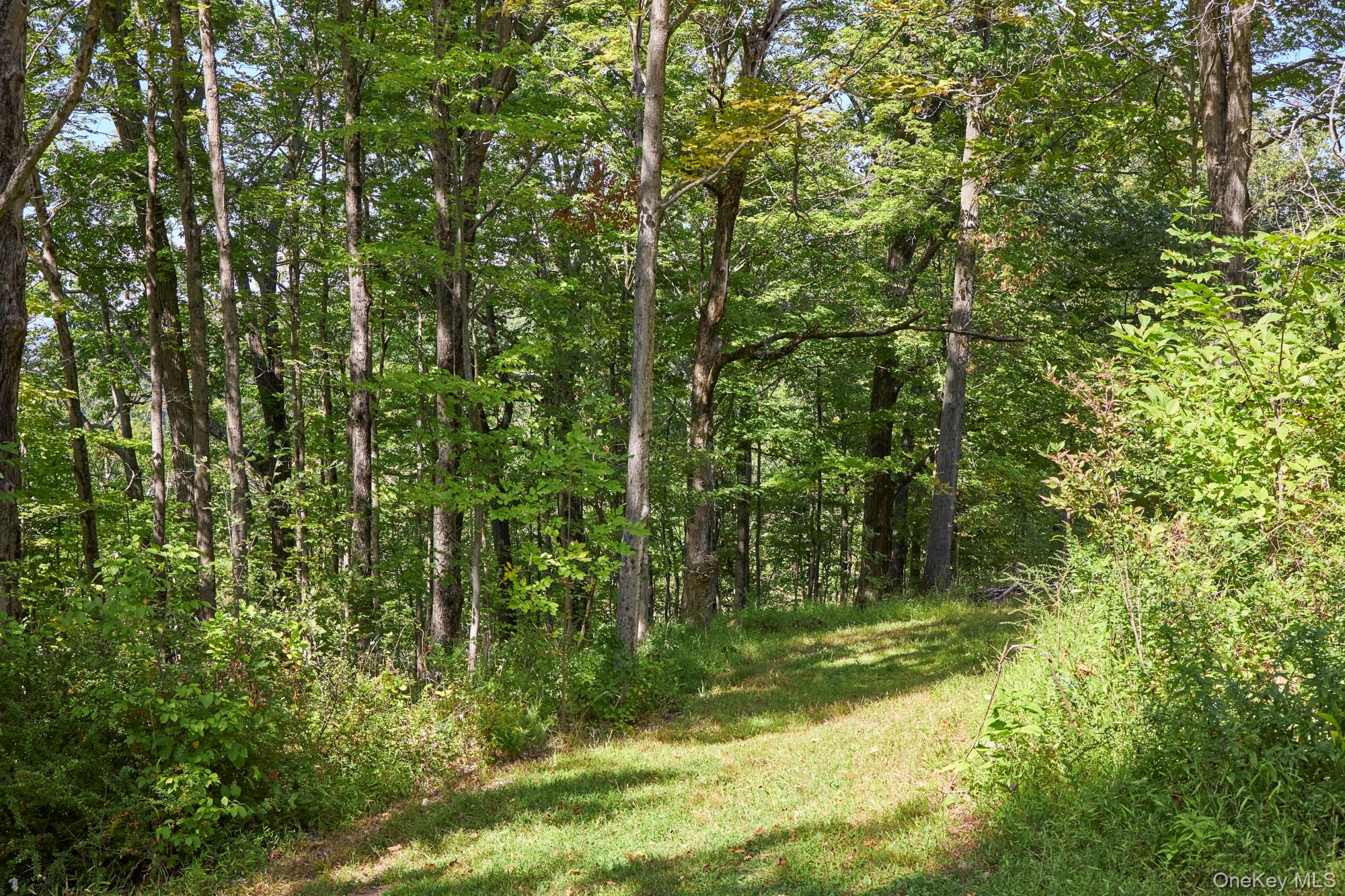 Mill Road – For Sale photo 7