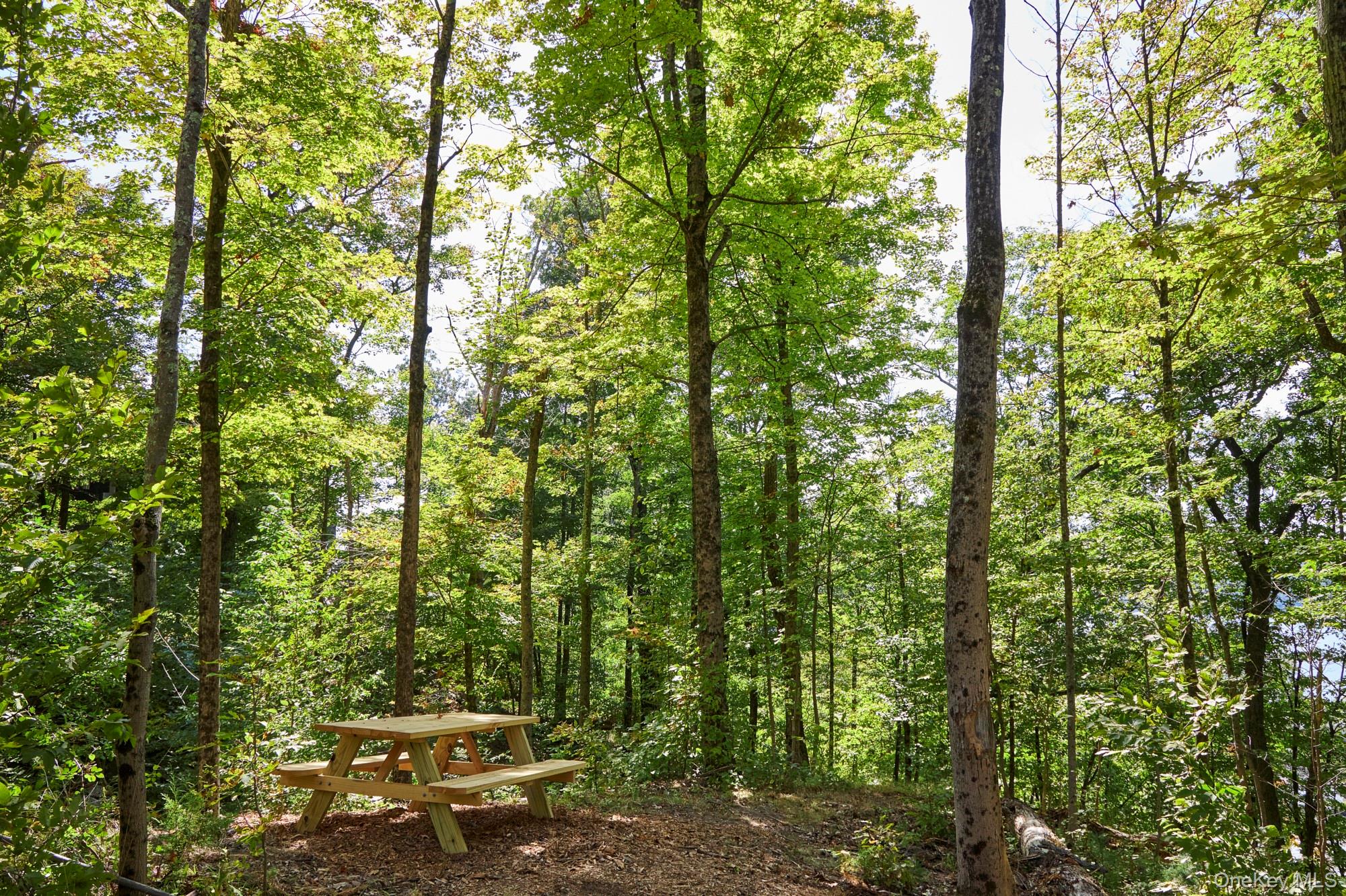 Mill Road – For Sale photo 2