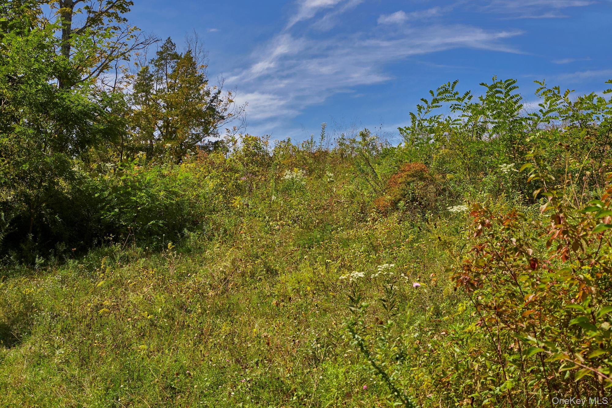Mill Road – For Sale photo 10