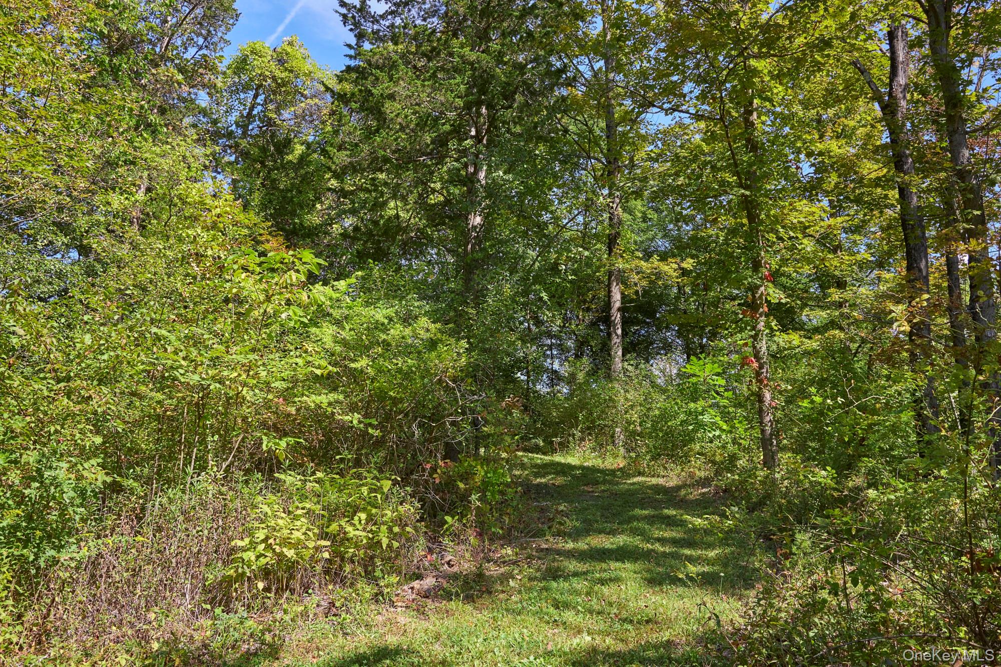 Mill Road – For Sale photo 13