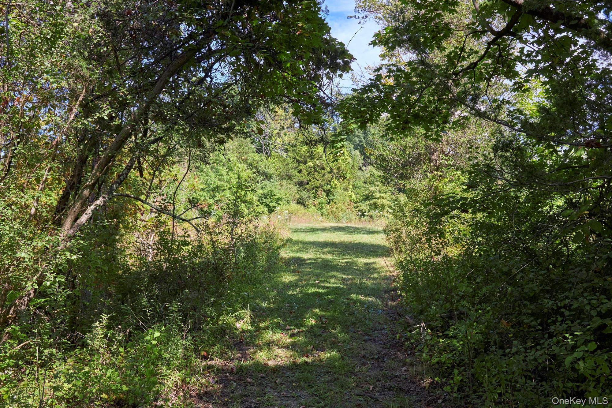 Mill Road – For Sale photo 8