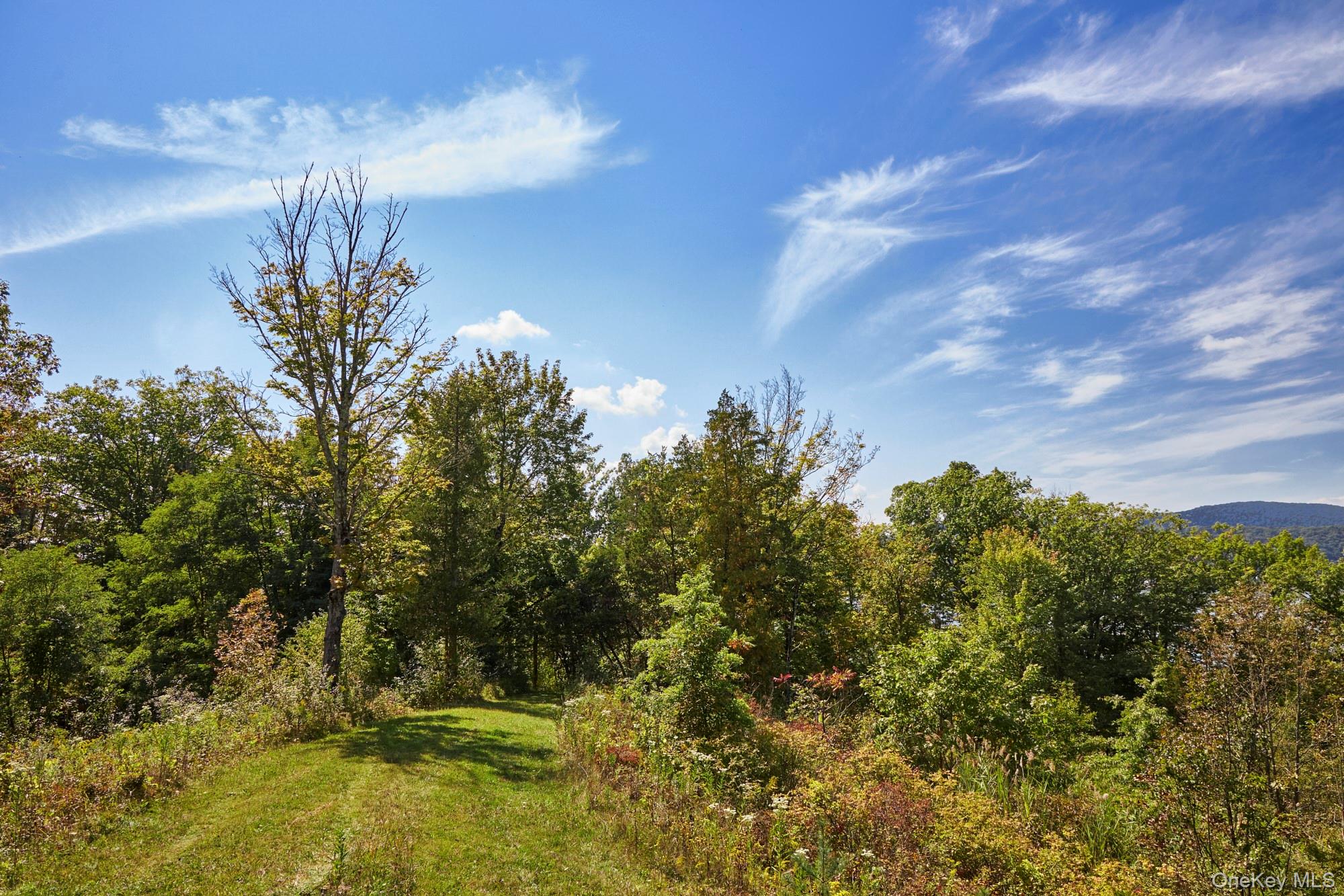 Mill Road – For Sale photo 5