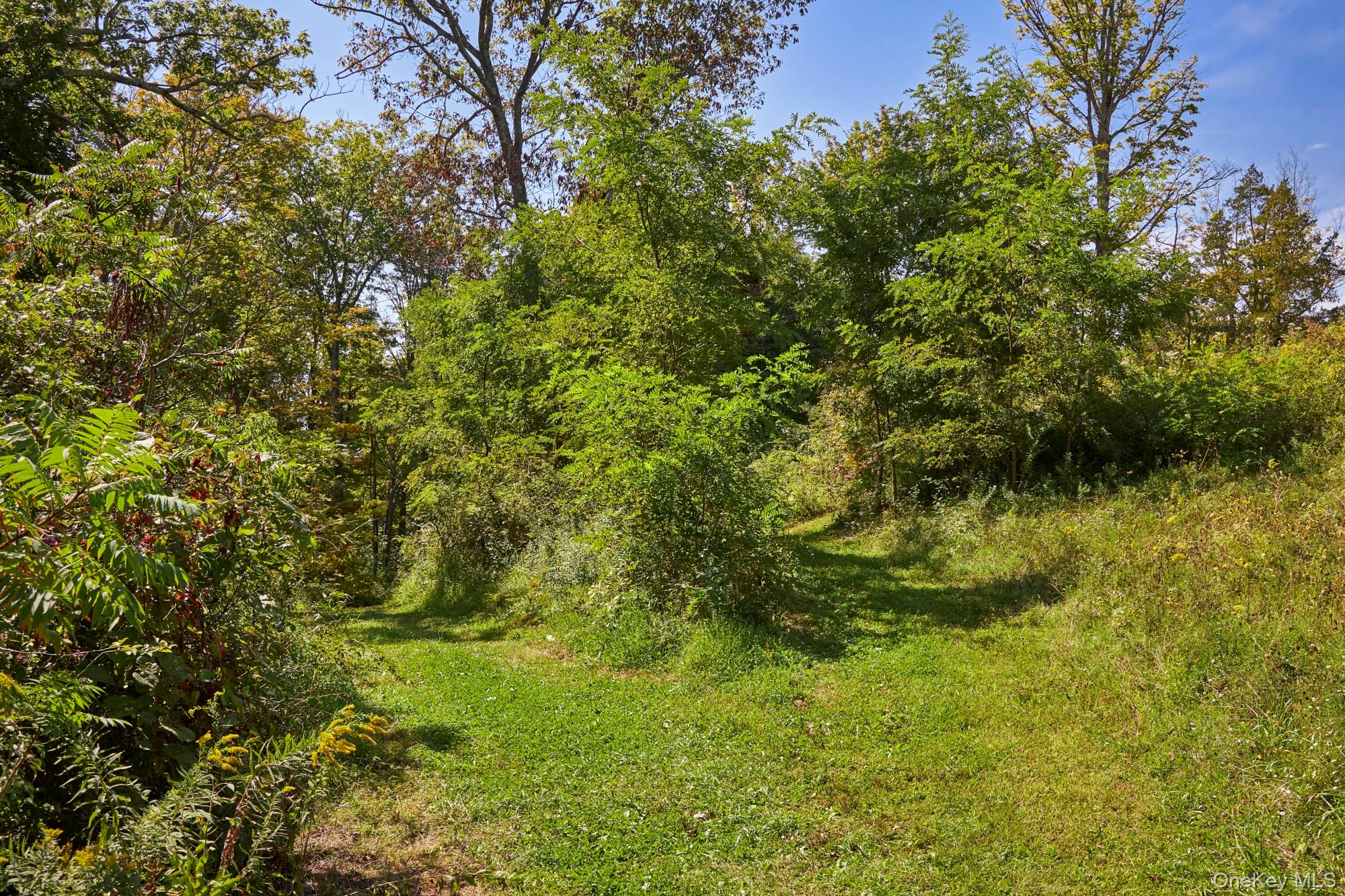 Mill Road – For Sale photo 4