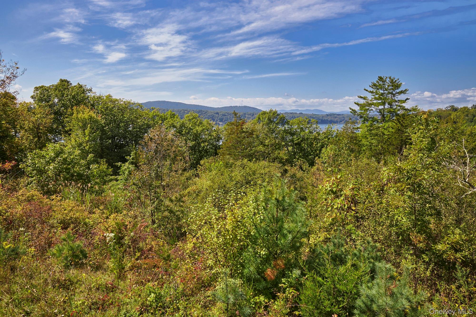 Mill Road – For Sale photo 15