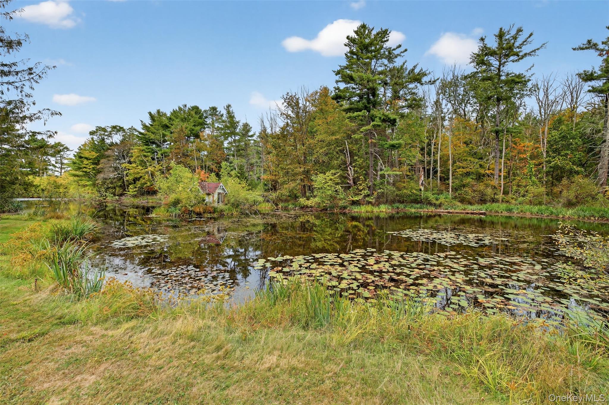 1122 County Route 31 – For Sale photo 47