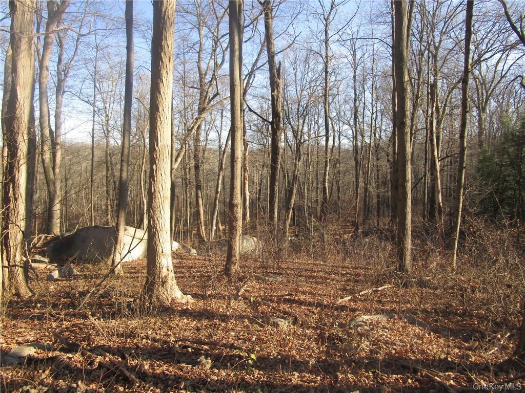 Brookside/Bear Mtn Parkway Avenue – For Sale