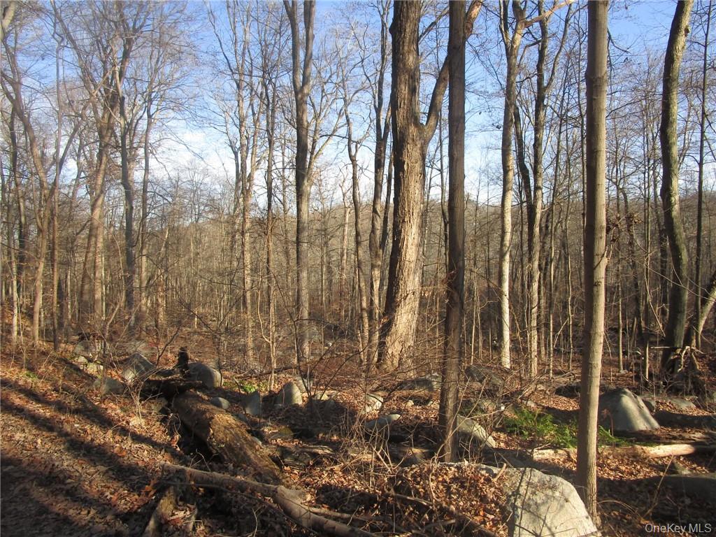 Brookside/Bear Mtn Parkway Avenue – For Sale photo 2