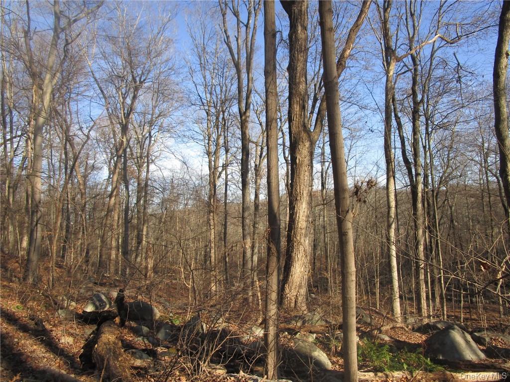 Brookside/Bear Mtn Parkway Avenue – For Sale photo 4