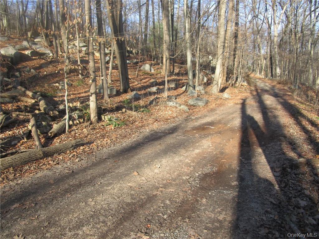 Brookside/Bear Mtn Parkway Avenue – For Sale photo 3