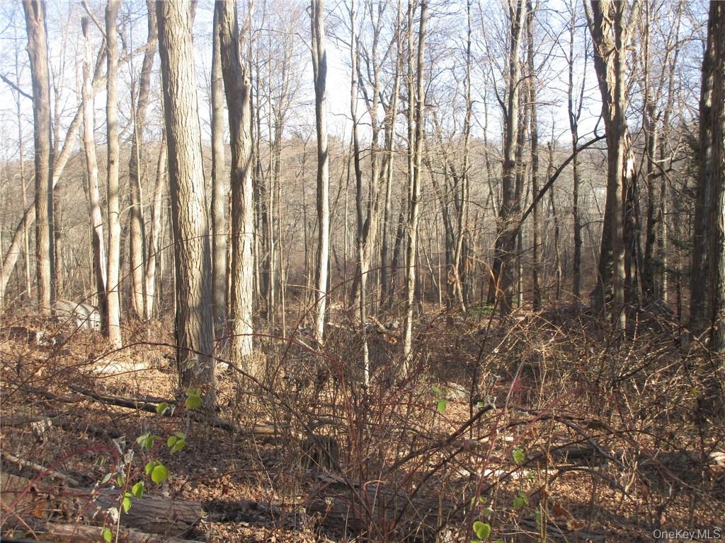 Brookside/Bear Mtn Parkway Avenue – For Sale photo 5