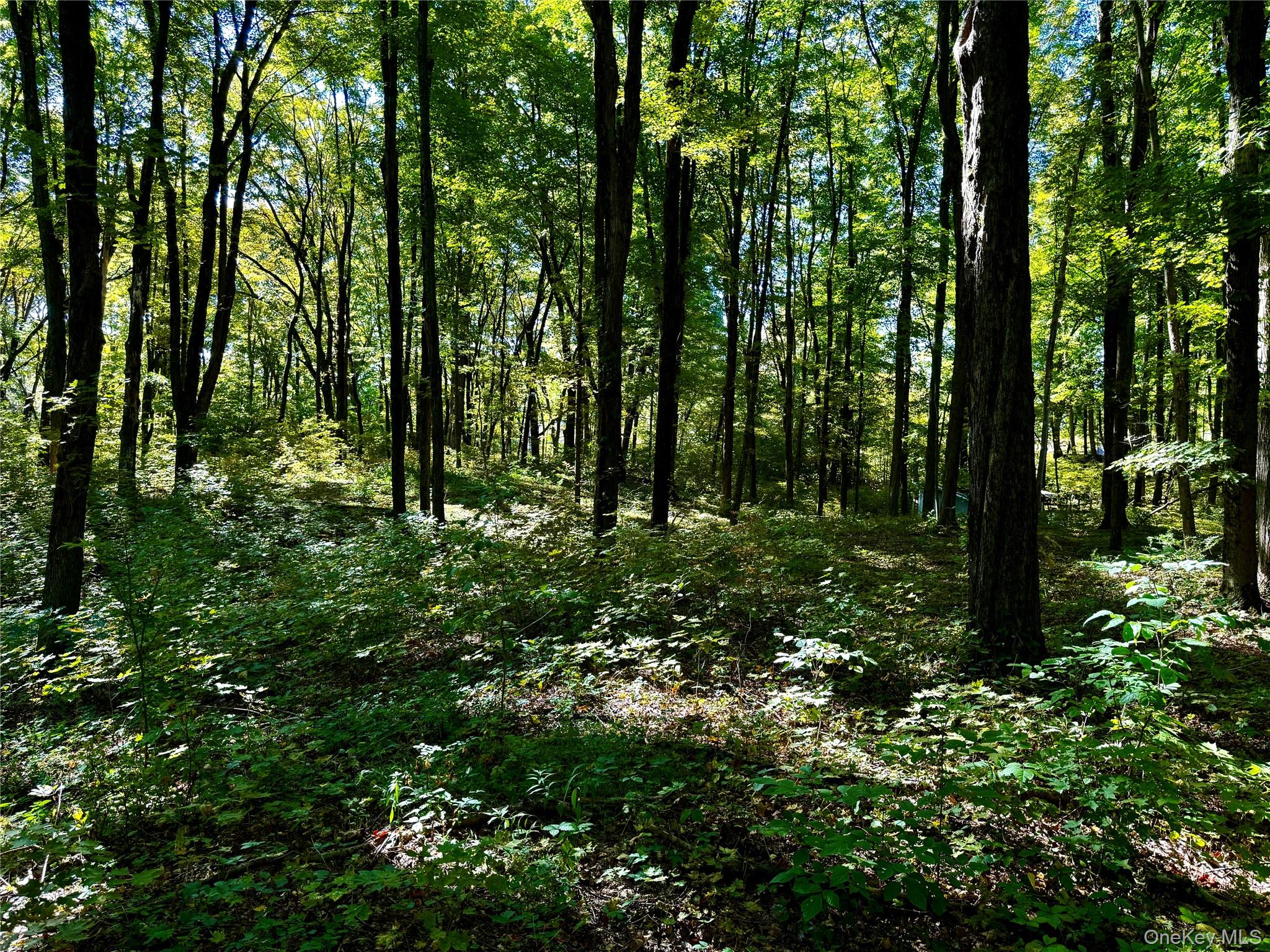 Freedom Road (Lot 2) – For Sale photo 10