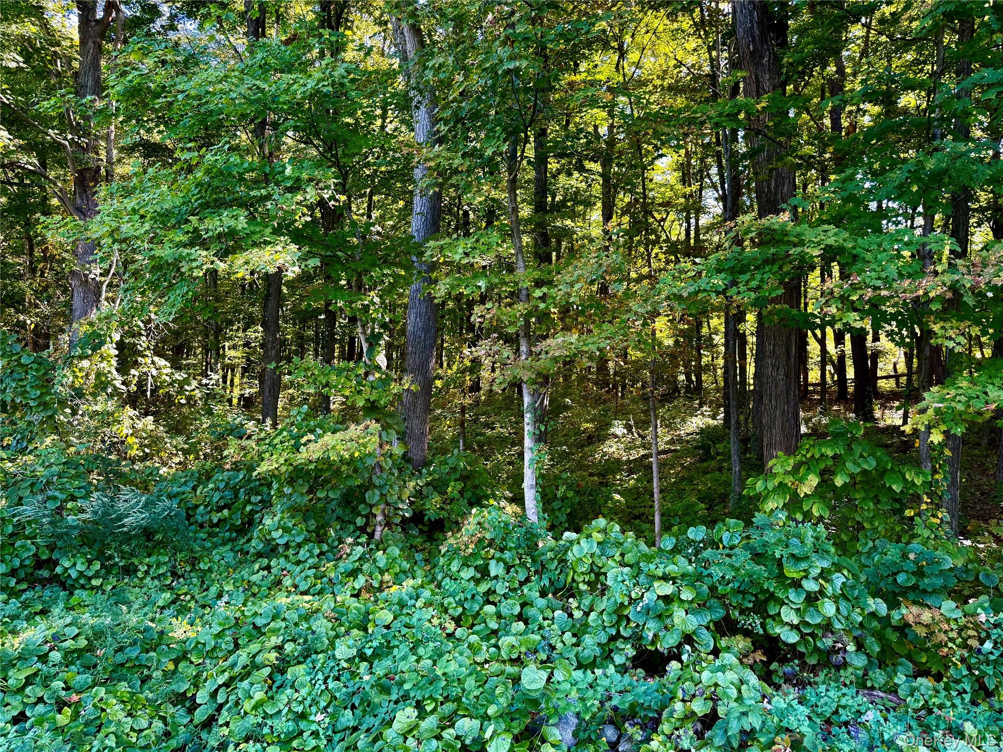 Freedom Road (Lot 2) – For Sale photo 12