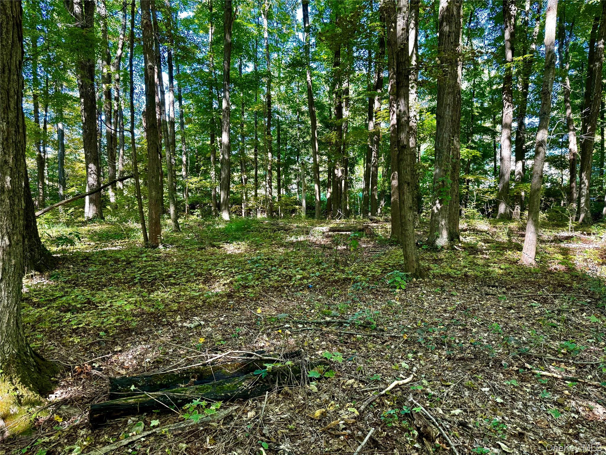 Freedom Road (Lot 2) – For Sale photo 3