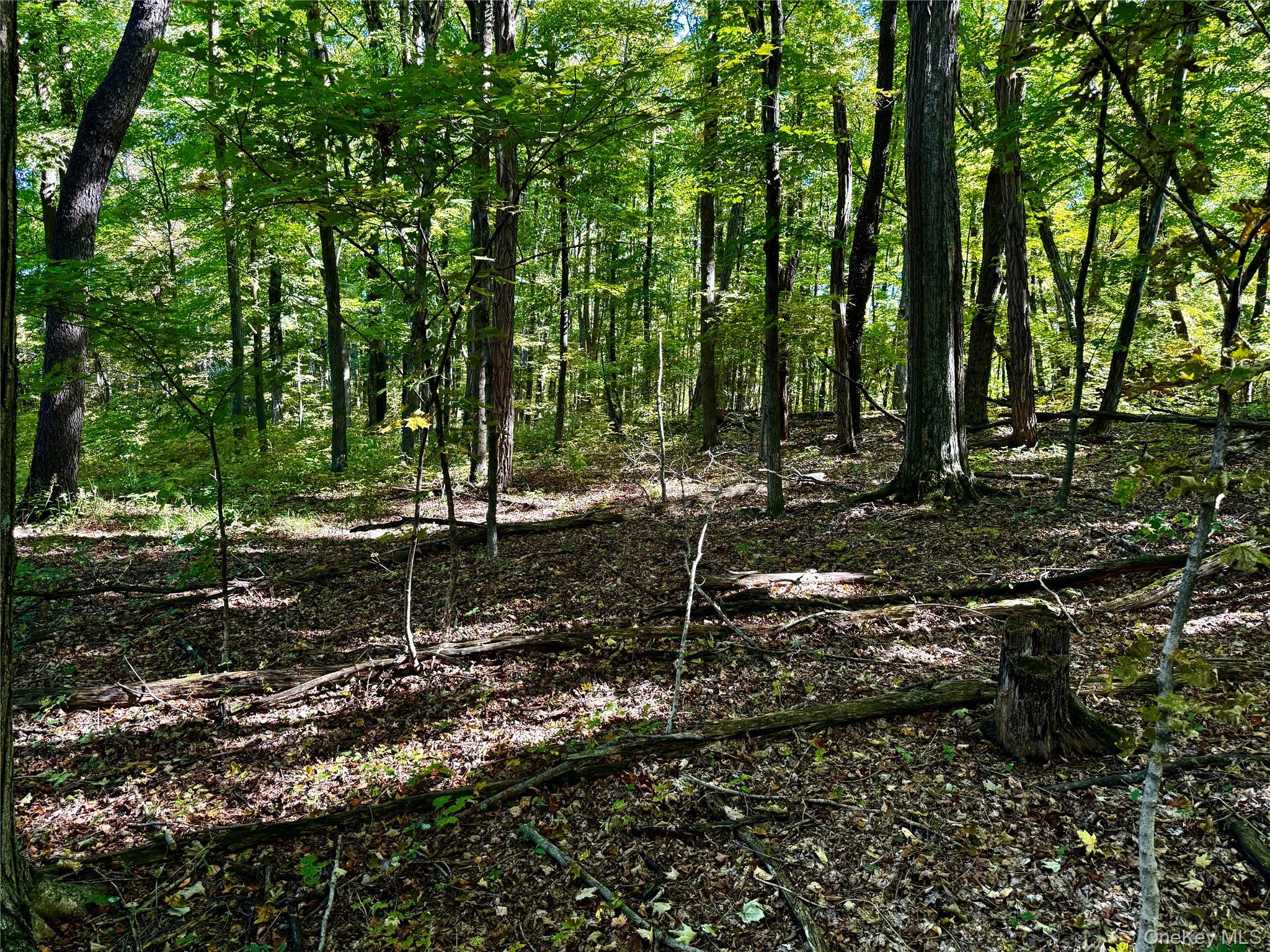 Freedom Road (Lot 2) – For Sale photo 2