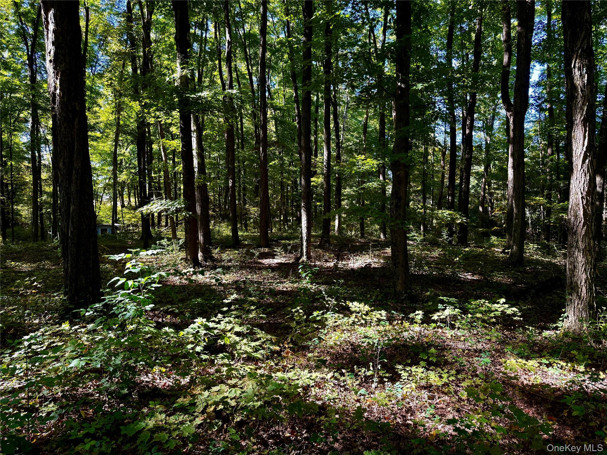 Freedom Road (Lot 2) – For Sale photo 11
