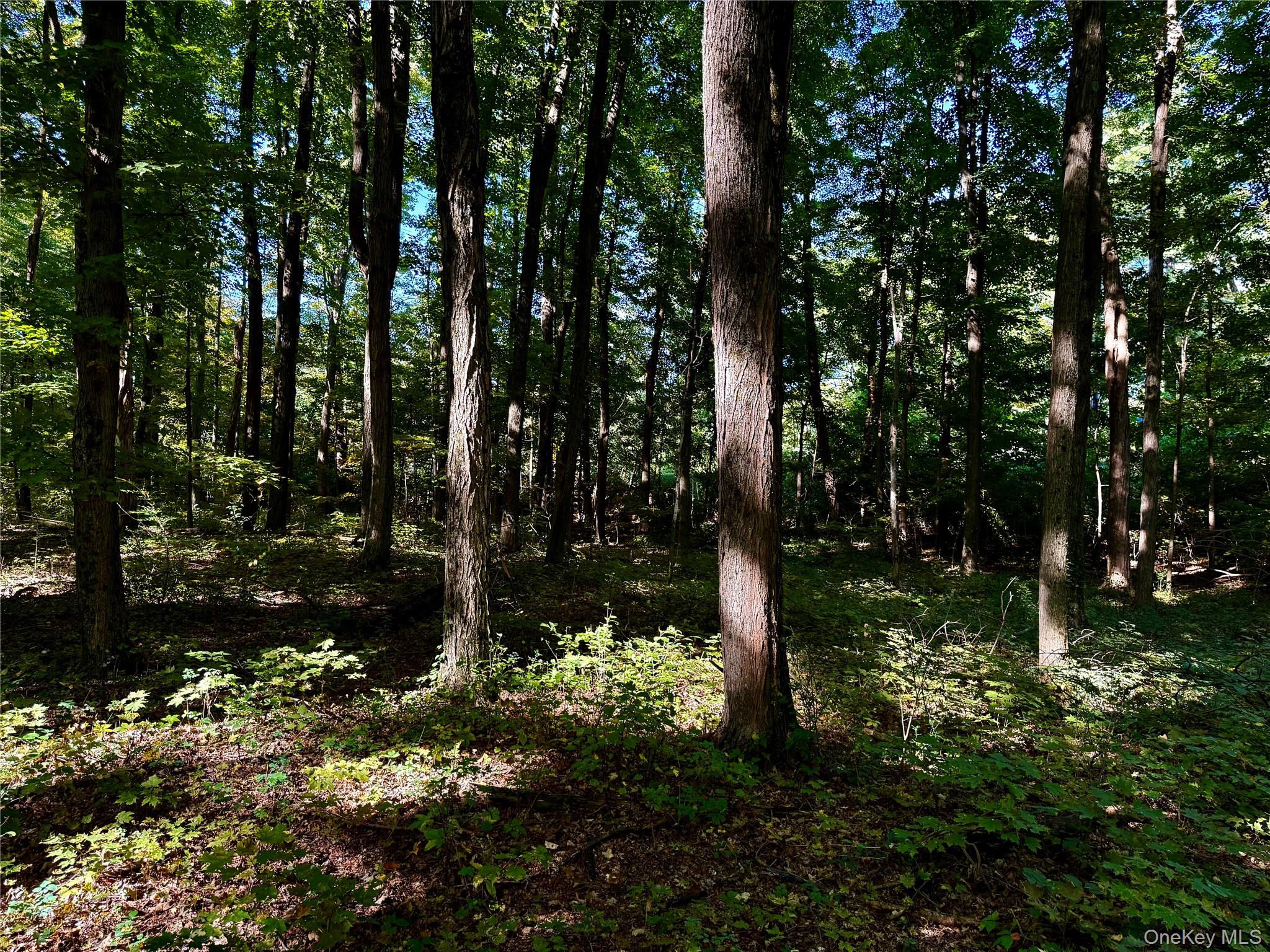 Freedom Road (Lot 2) – For Sale photo 4