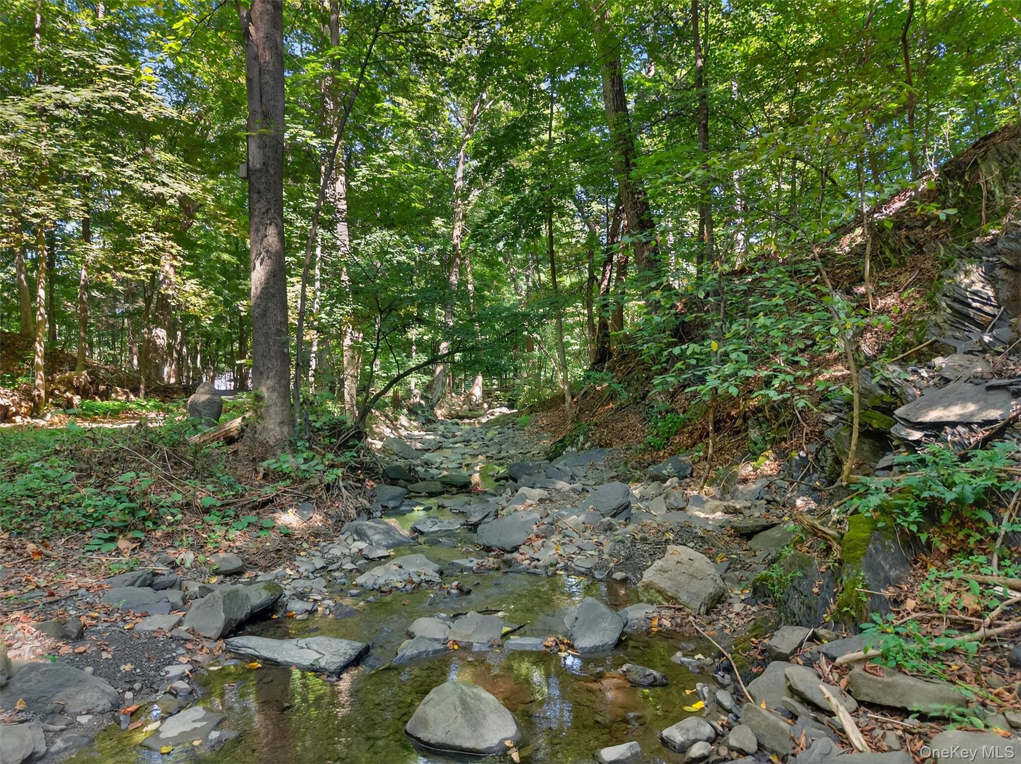 331 Mountain Lodge Road – For Sale photo 33