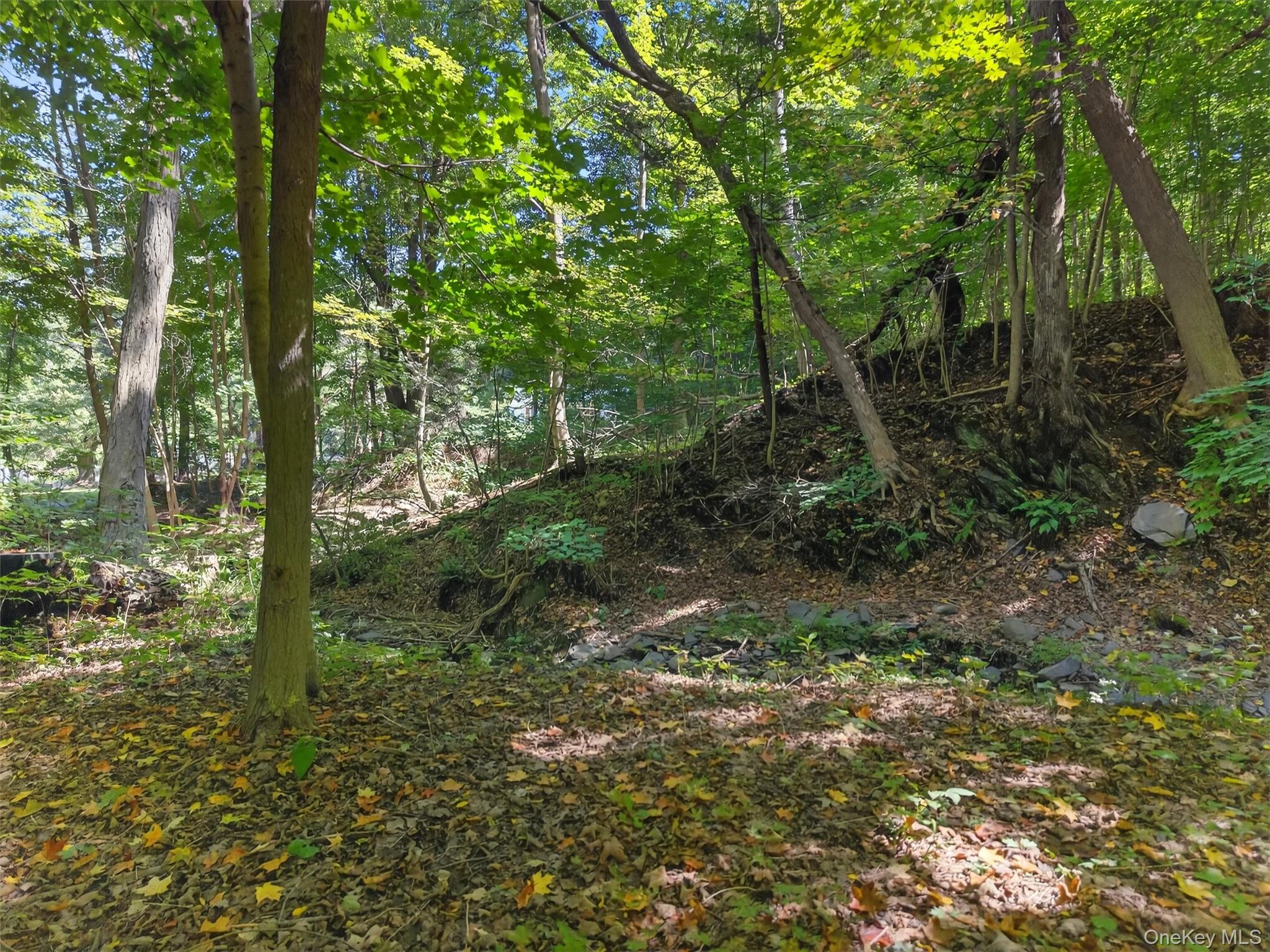 331 Mountain Lodge Road – For Sale photo 25
