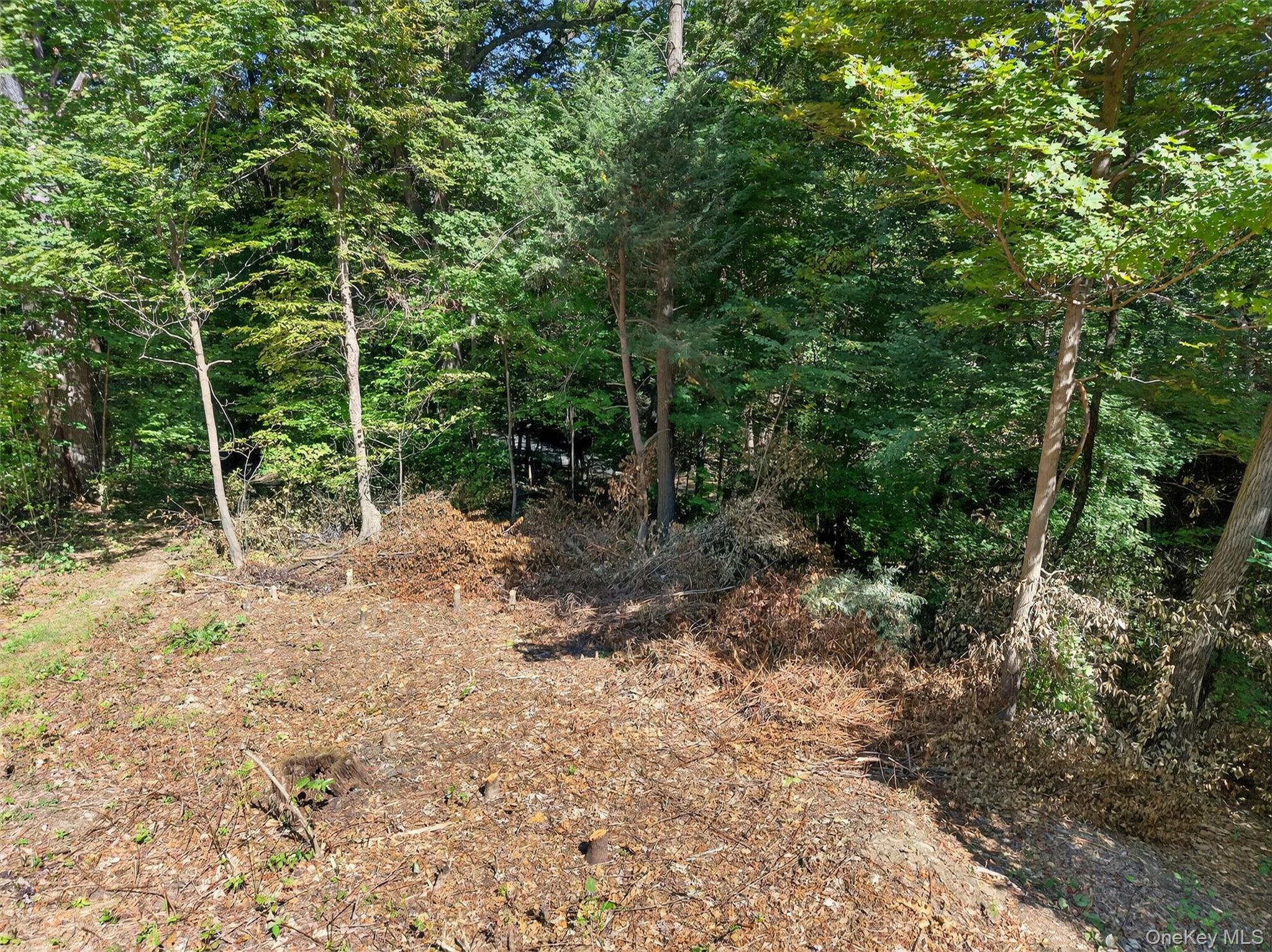 331 Mountain Lodge Road – For Sale photo 38