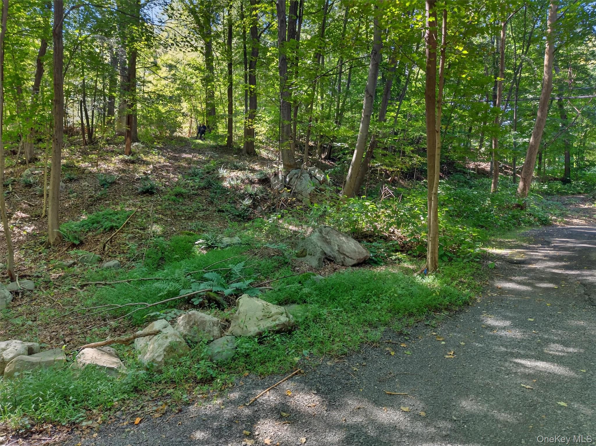 331 Mountain Lodge Road – For Sale photo 35
