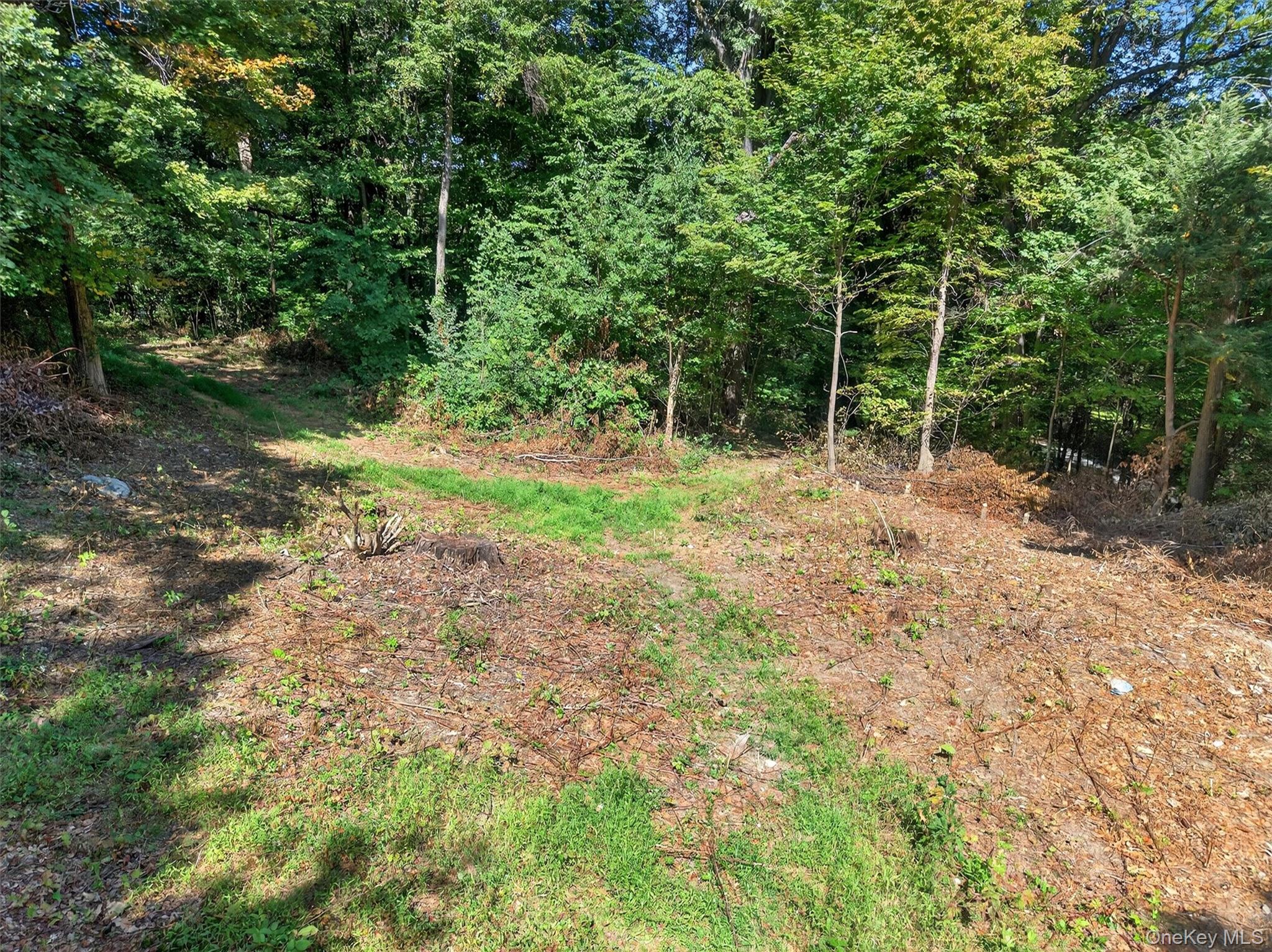 331 Mountain Lodge Road – For Sale photo 37