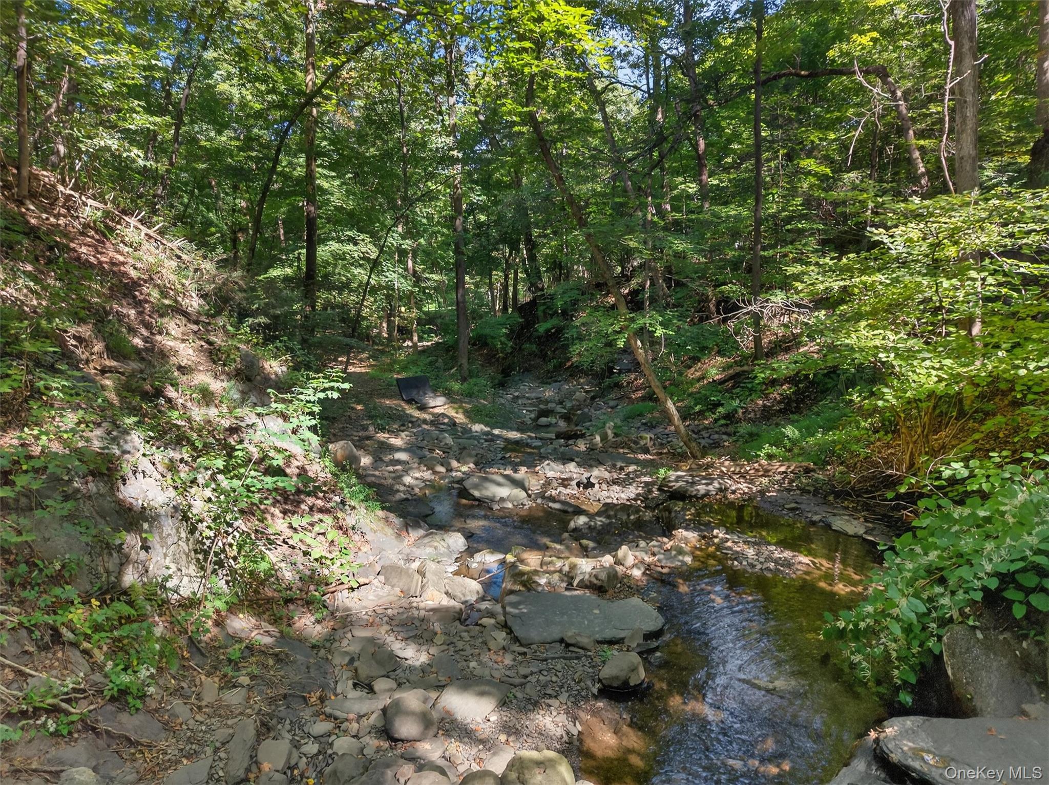 331 Mountain Lodge Road – For Sale photo 17