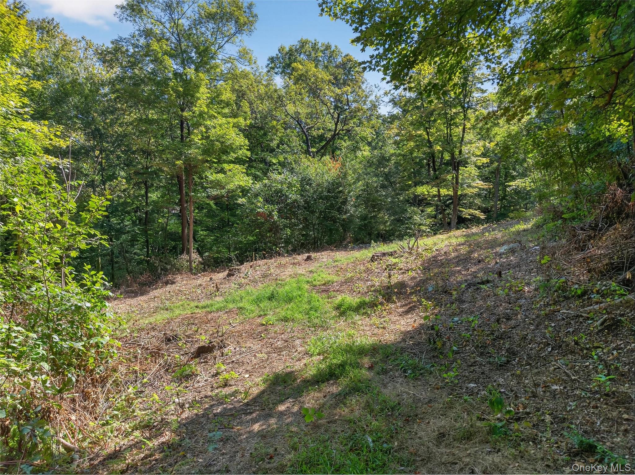 331 Mountain Lodge Road – For Sale photo 41