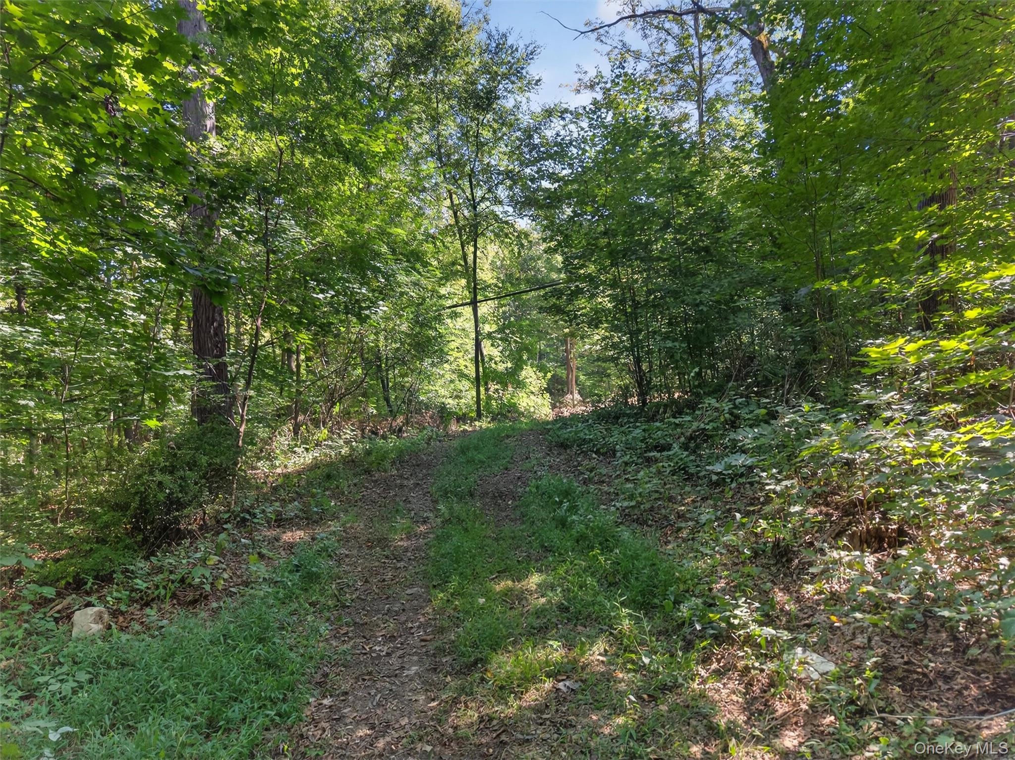 331 Mountain Lodge Road – For Sale photo 42