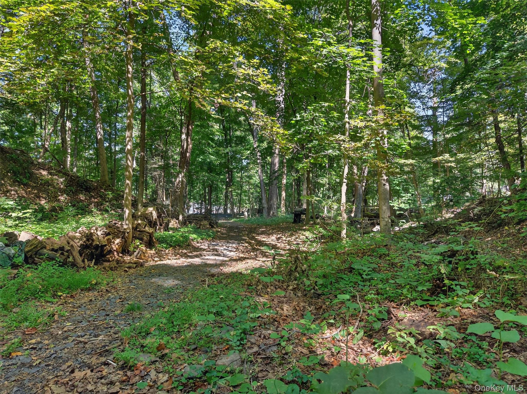 331 Mountain Lodge Road – For Sale photo 23