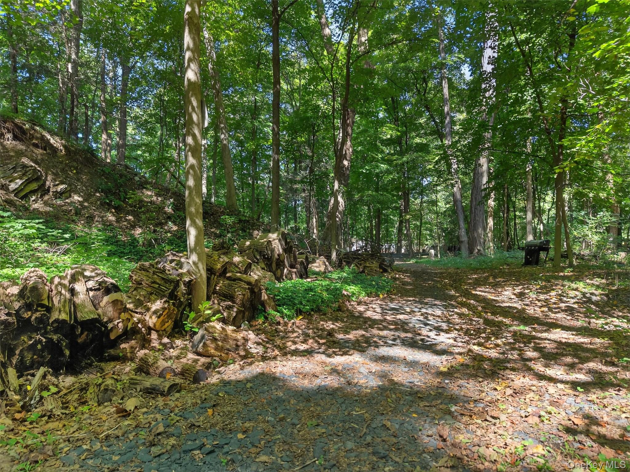 331 Mountain Lodge Road – For Sale photo 24