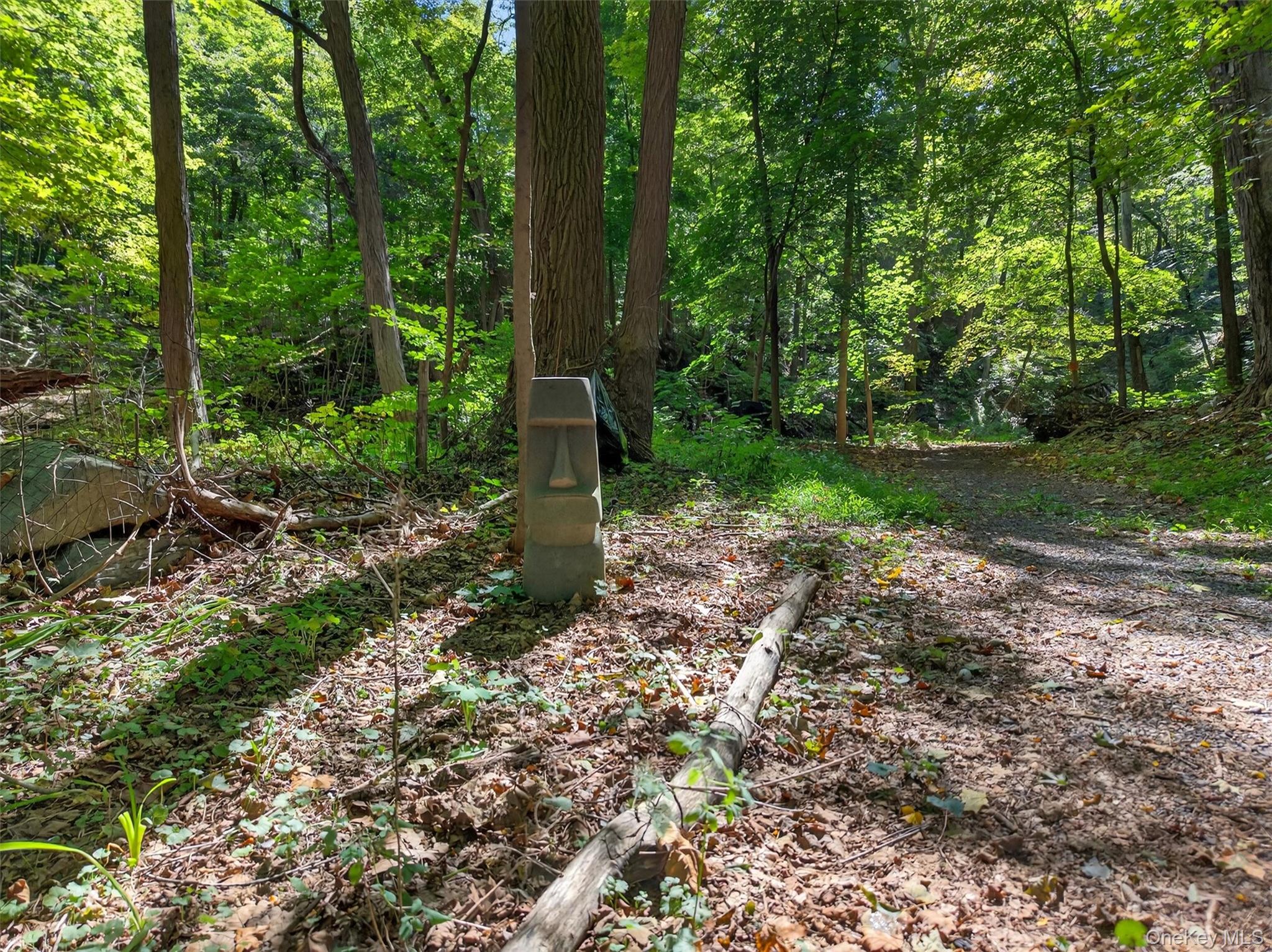 331 Mountain Lodge Road – For Sale photo 27