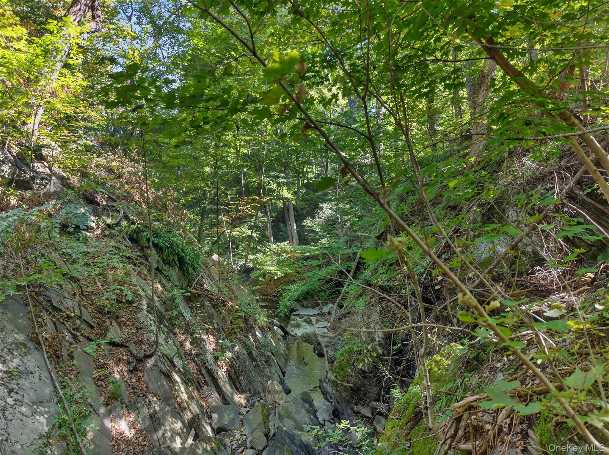 331 Mountain Lodge Road – For Sale photo 8