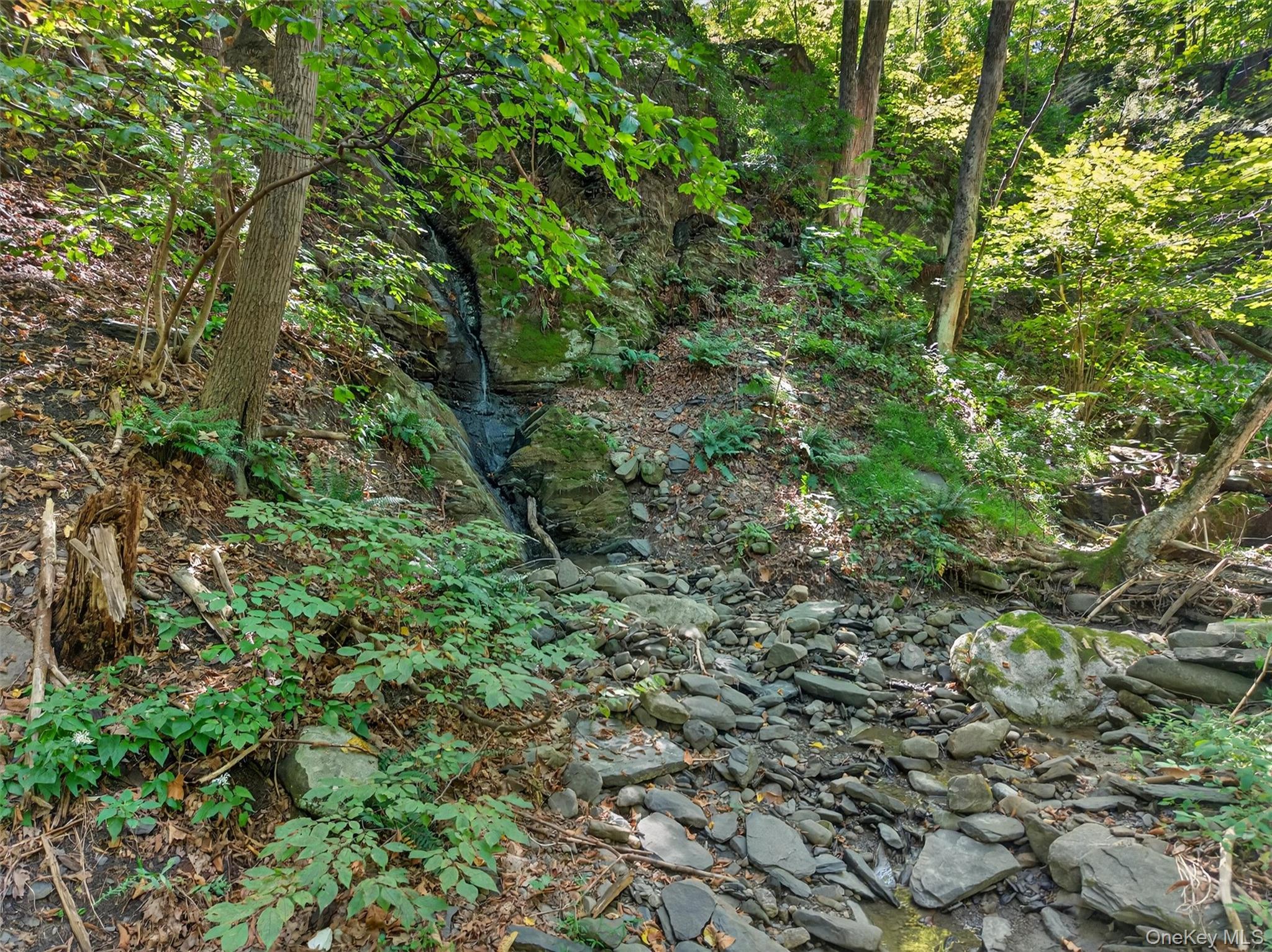 331 Mountain Lodge Road – For Sale photo 31