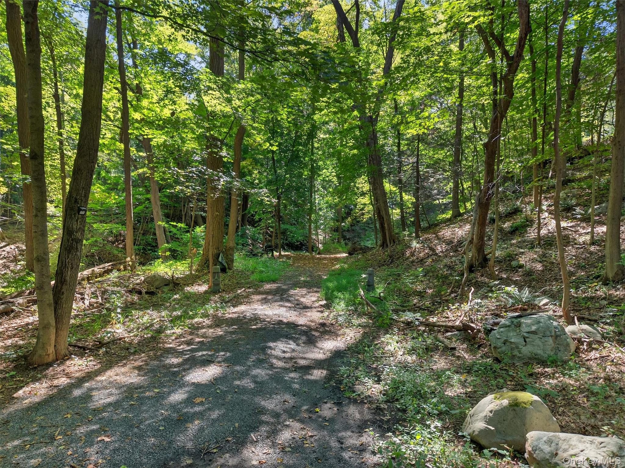 331 Mountain Lodge Road – For Sale photo 2