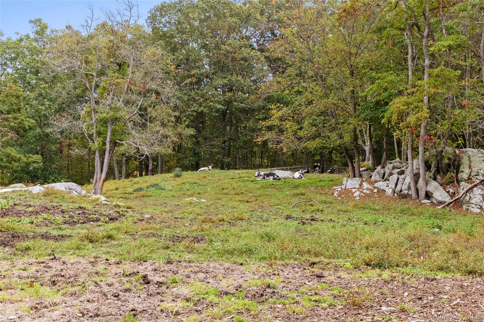 898 Gipsy Trail Road – For Sale photo 37
