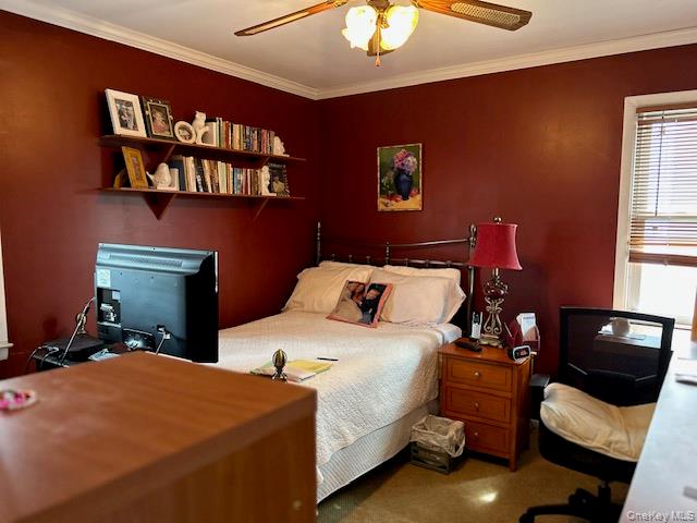 87 Armour Street – For Sale photo 24