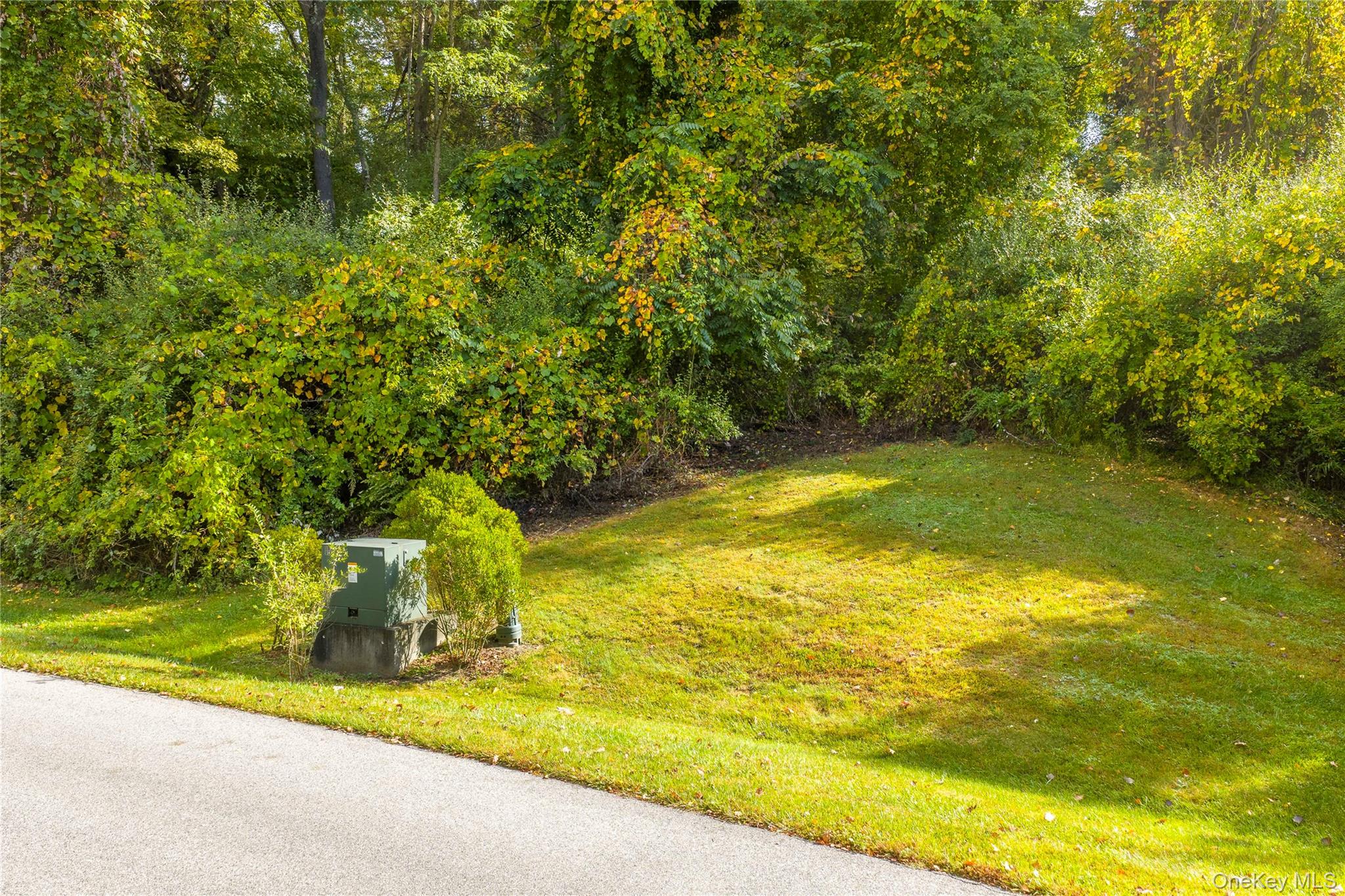 Lot 25 Brady Brook Farm Road – For Sale photo 10