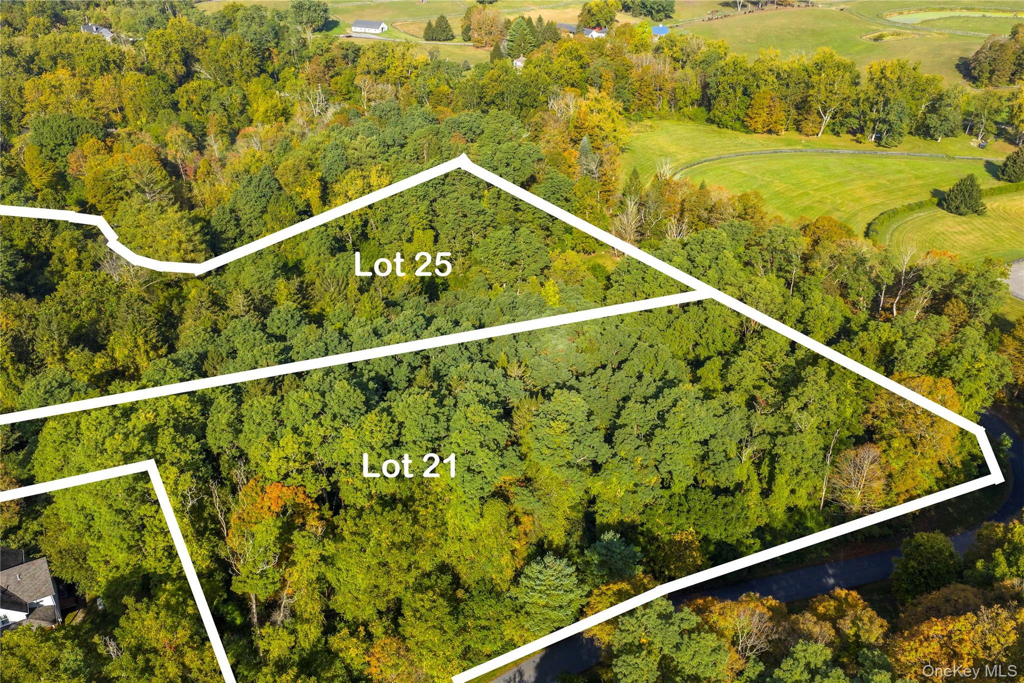 Lot 25 Brady Brook Farm Road – For Sale photo 2