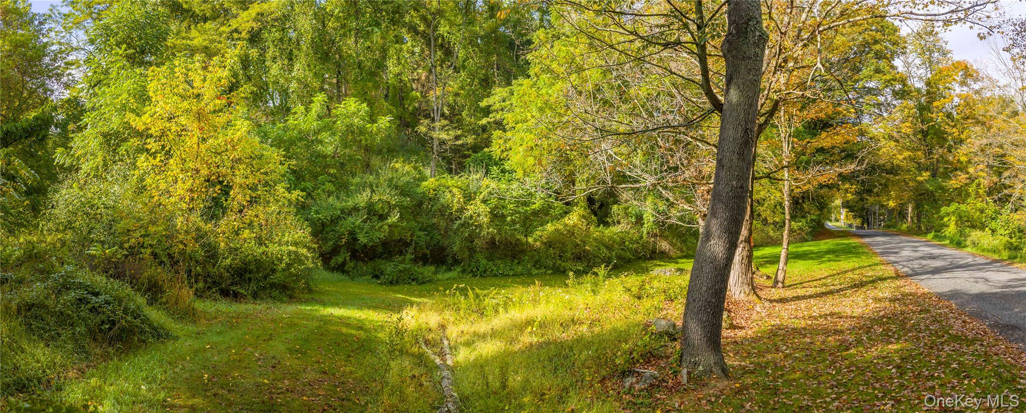 Lot 25 Brady Brook Farm Road – For Sale photo 3