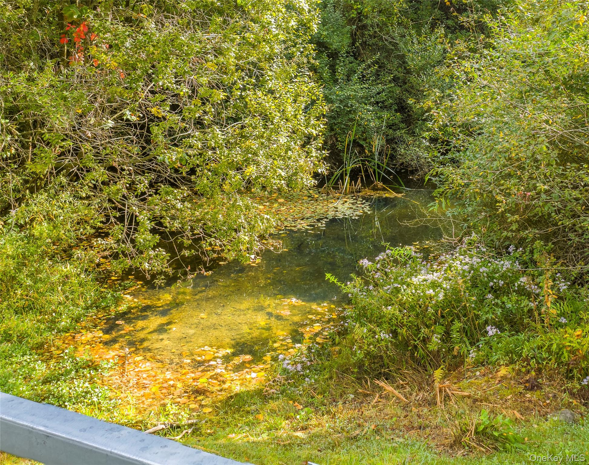 Lot 25 Brady Brook Farm Road – For Sale photo 9