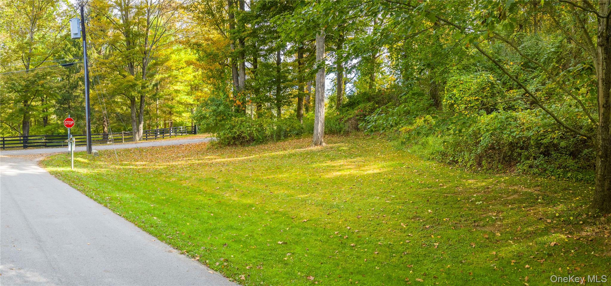 Lot 25 Brady Brook Farm Road – For Sale photo 11