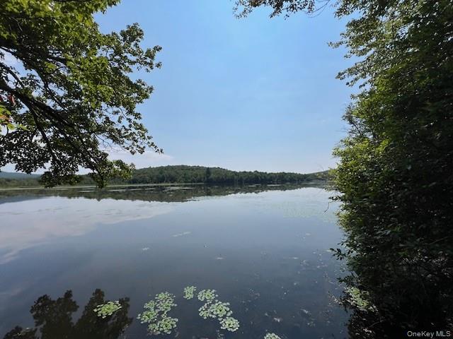 Lot 68 Shore Road – For Sale photo 5