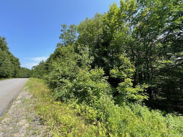Lot 68 Shore Road – For Sale photo 3