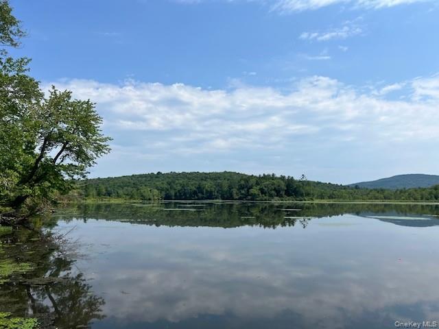 Lot 68 Shore Road – For Sale photo 10
