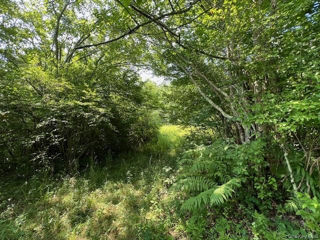 Lot 68 Shore Road – For Sale photo 6